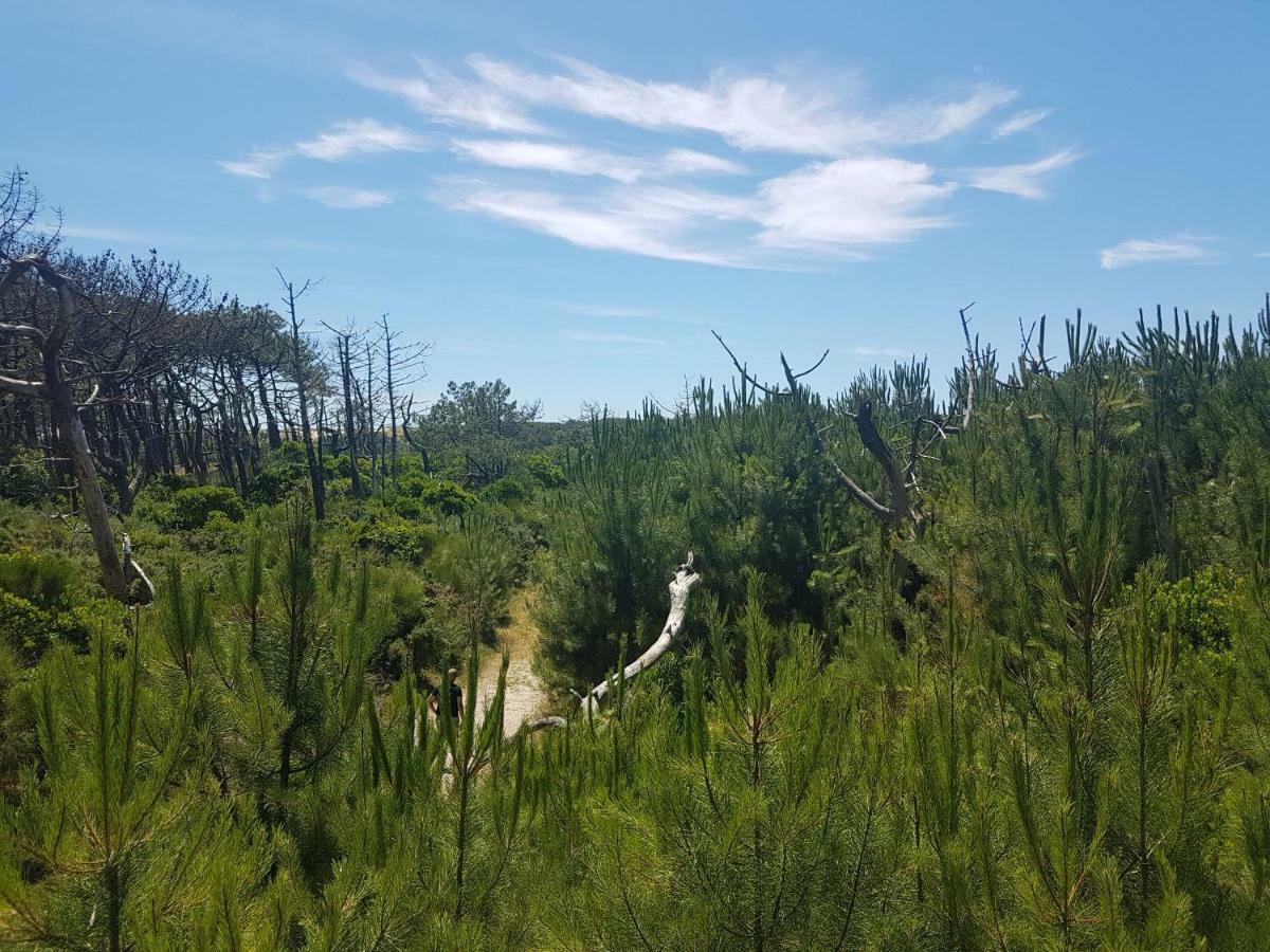 La Pinede Oceane,400M Des Plages Mimizan Exterior foto
